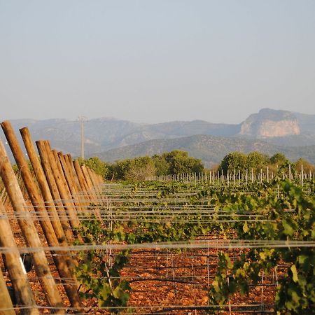 Weingut & Landhotel Can Davero Binissalem Exterior foto
