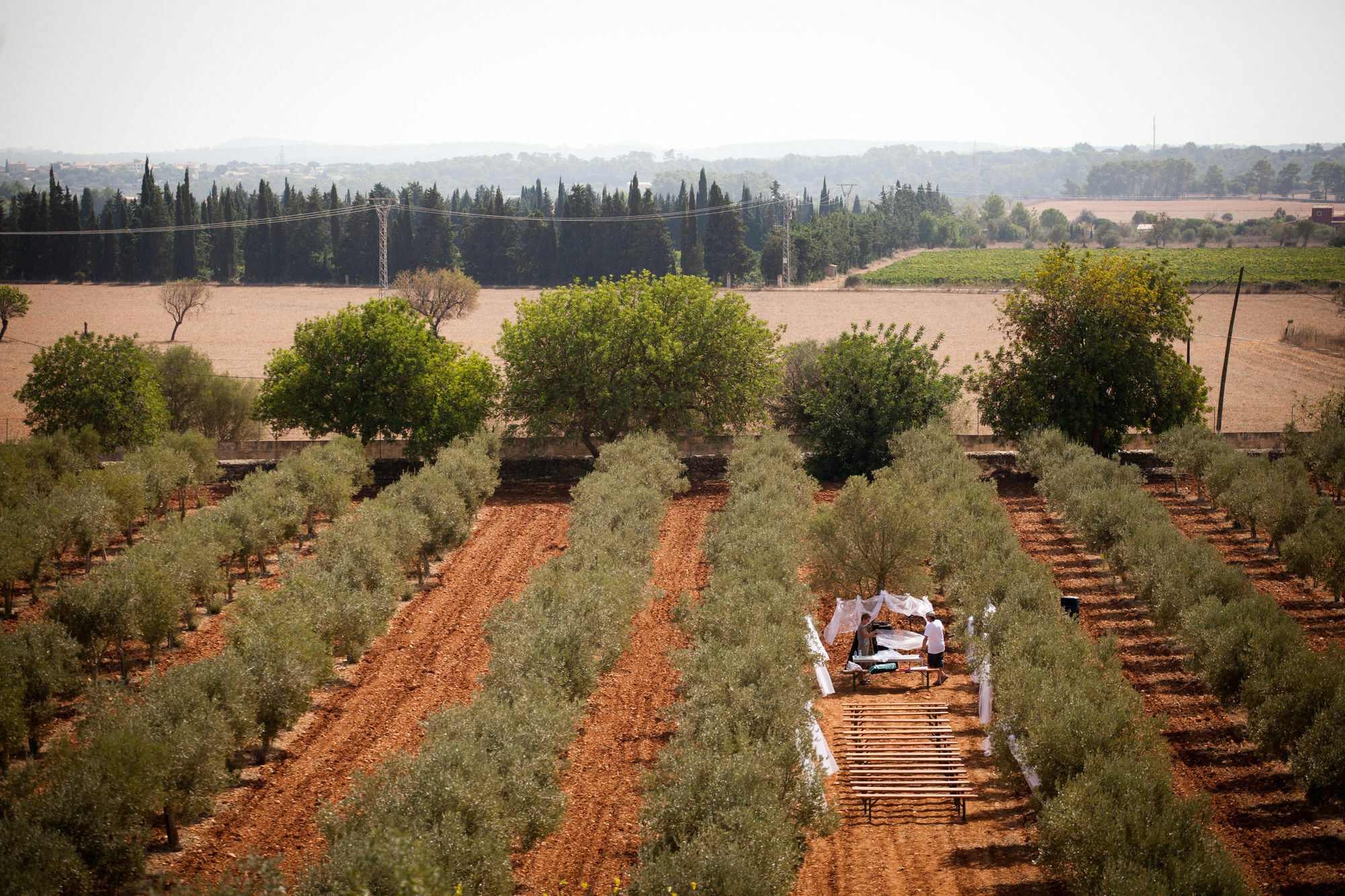 Weingut & Landhotel Can Davero Binissalem Exterior foto