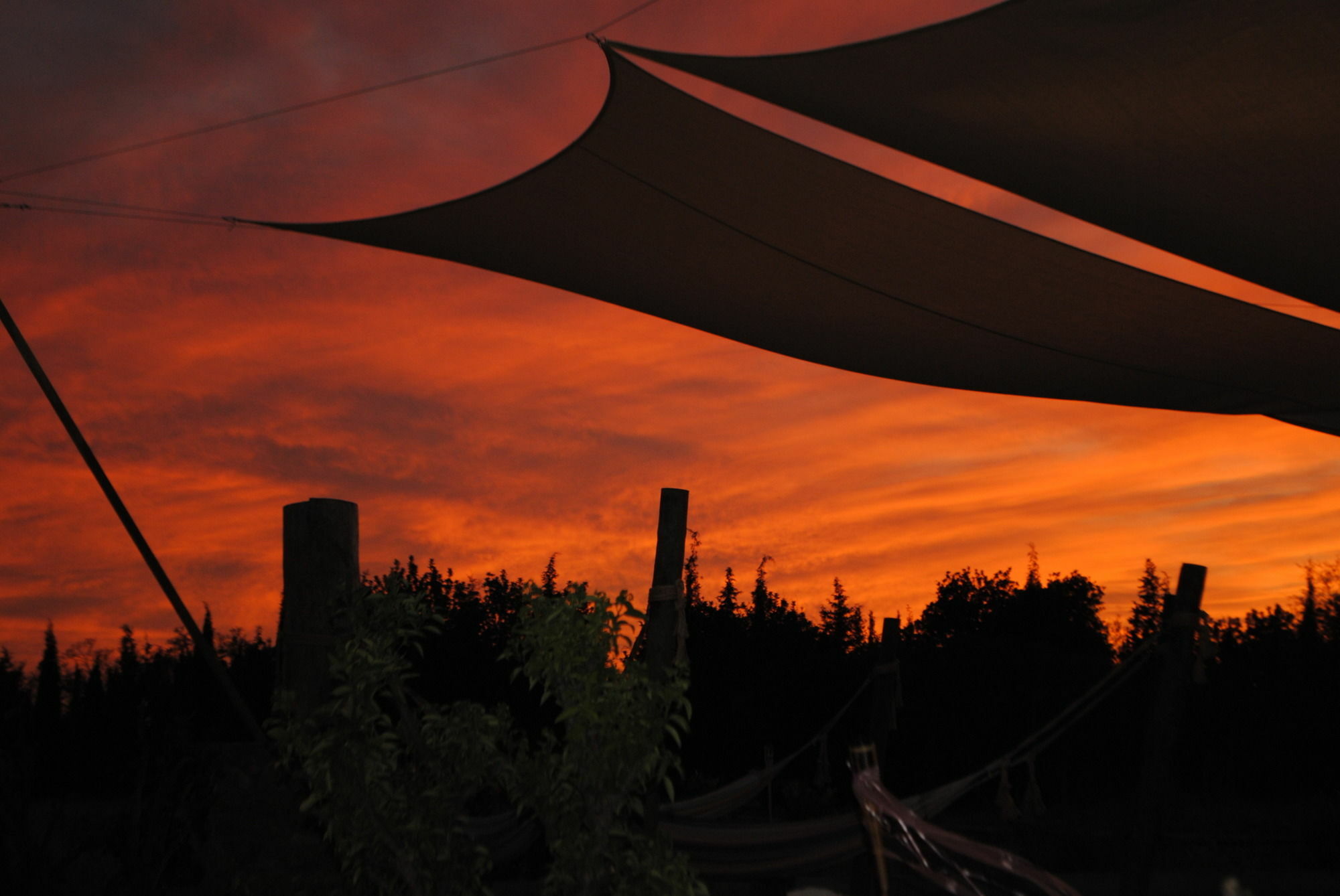 Weingut & Landhotel Can Davero Binissalem Exterior foto